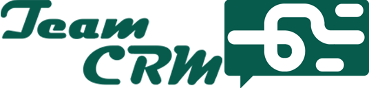 لوگوی TEAMCRM